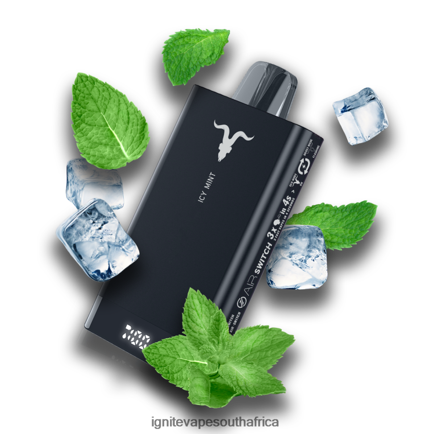 IGNITE Vape South Africa - IGNITE V150 Vape Pen 6L6BR271 Icy Mint