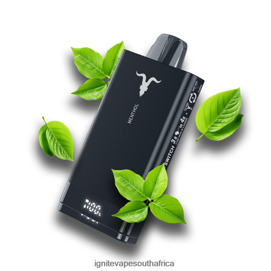 IGNITE Vapes South Africa - IGNITE V150 Vape Pen 6L6BR272 Menthol