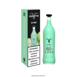 IGNITE Vape Disposable - IGNITE V25 Vape Pen 6L6BR214 Icy Mint