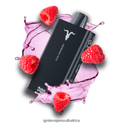 IGNITE Vape Price - IGNITE V150 Vape Pen 6L6BR275 Sour Raspberry