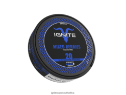 IGNITE Vape South Africa - IGNITE Nicotine Pouches 6L6BR2171 Mixed Berries