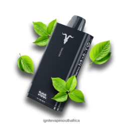 IGNITE Vapes South Africa - IGNITE V150 Vape Pen 6L6BR272 Menthol